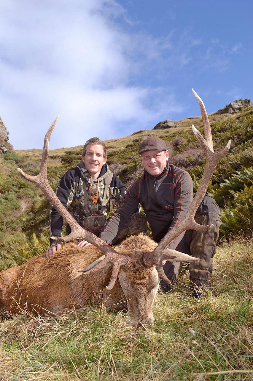 Red Stag Hunting In New Zealand