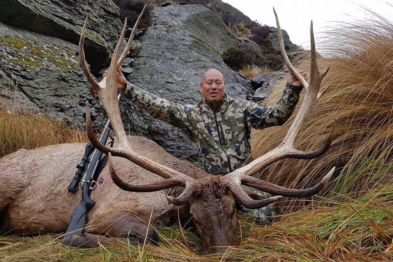 Bull Elk - Real Kiwi Hunting