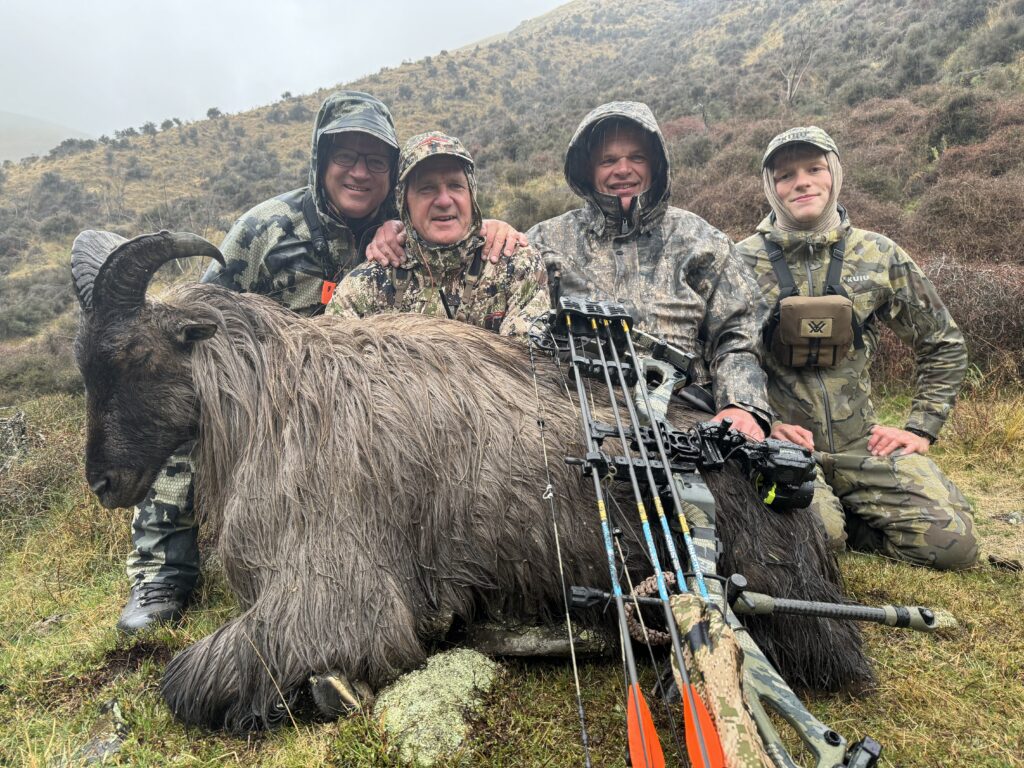 Bull Tahr bow hunting