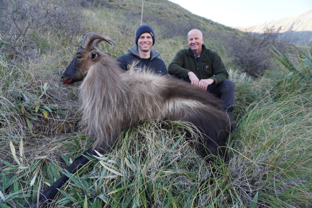 bull tahr hunters