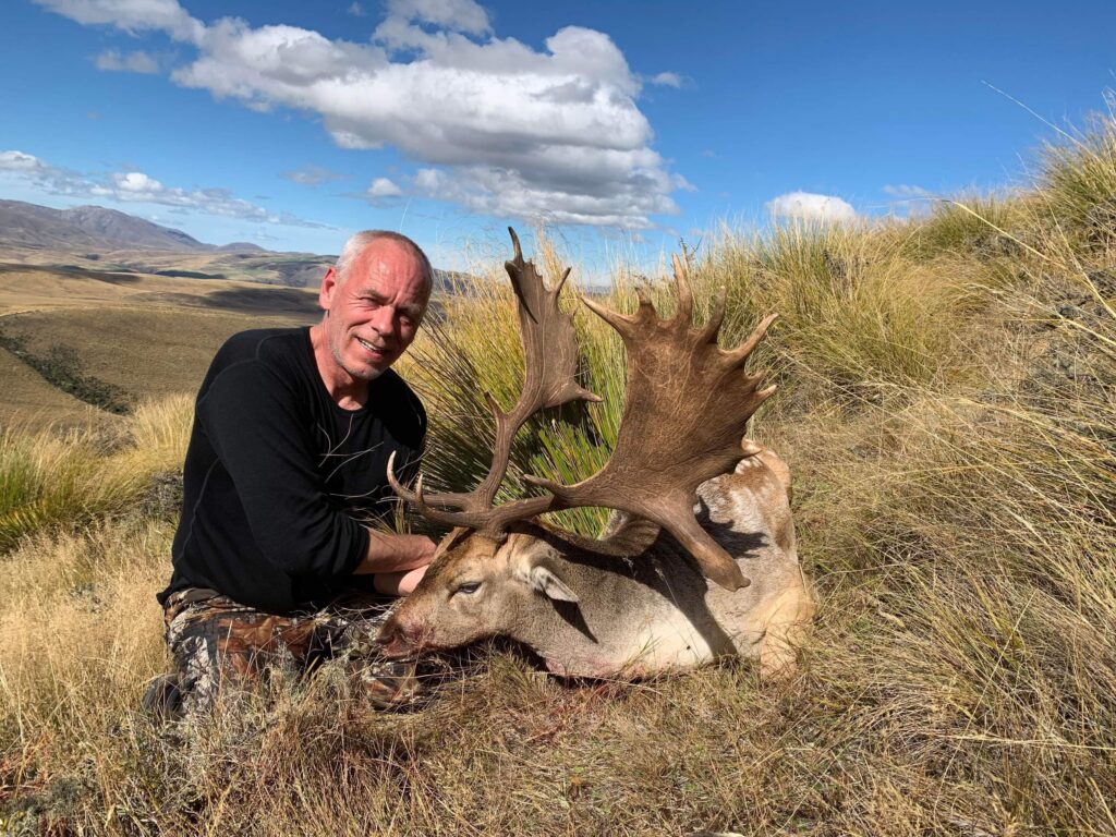 large antlers on a deer