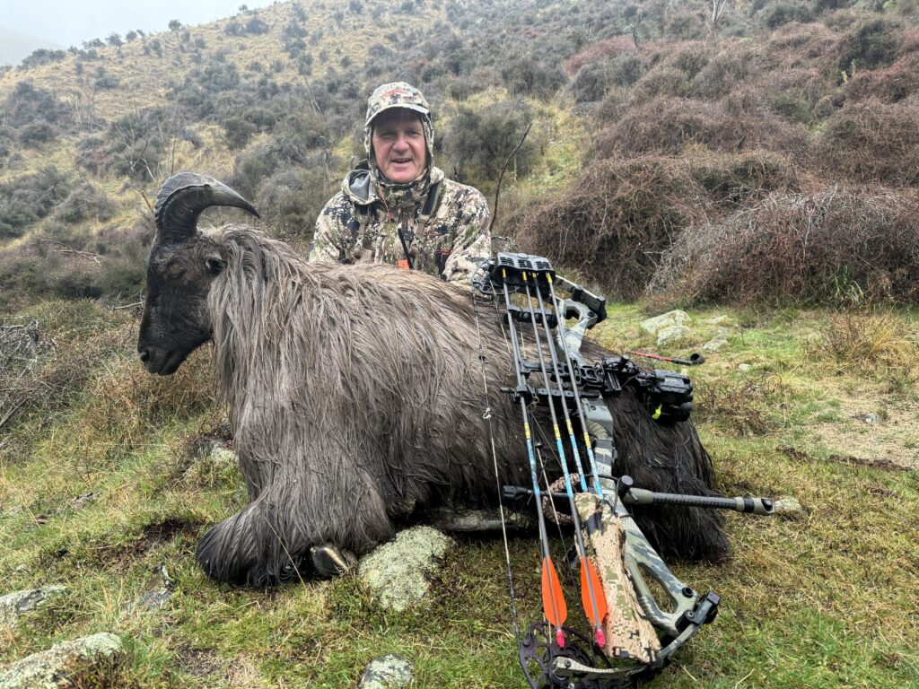 bow hunting in new zealand