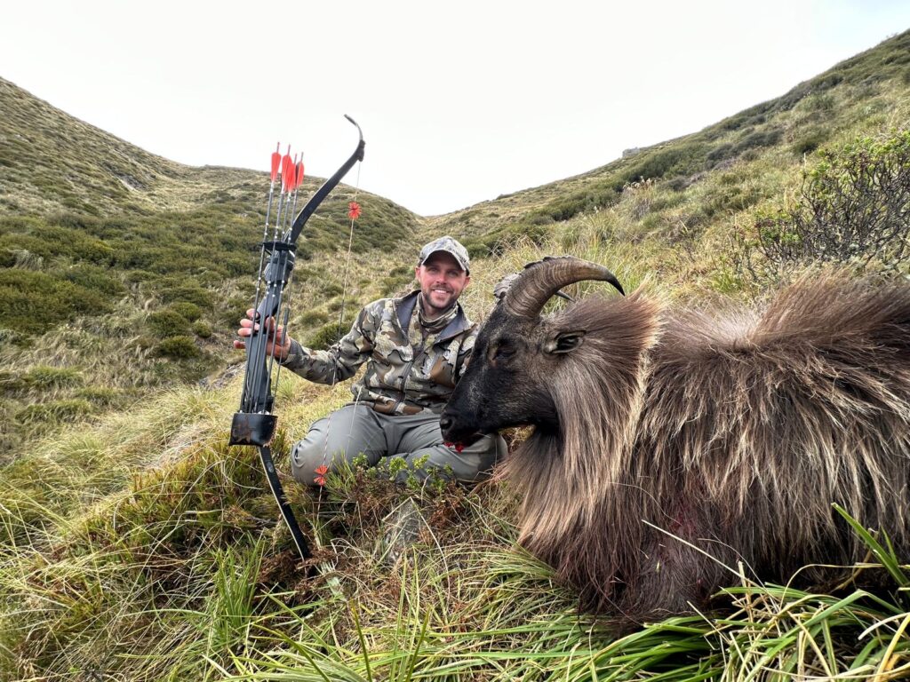 bull tahr bow hunting